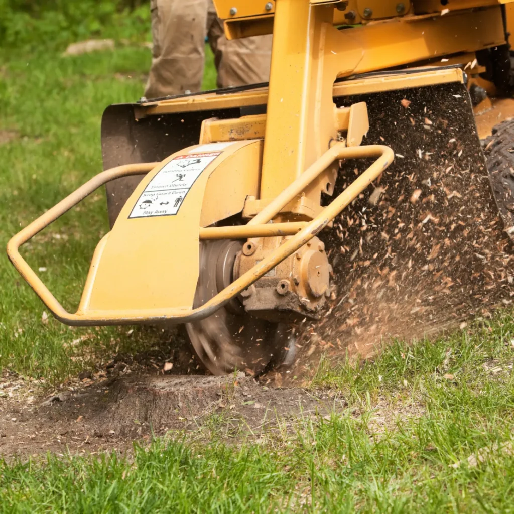 jr dubon stump grinding2